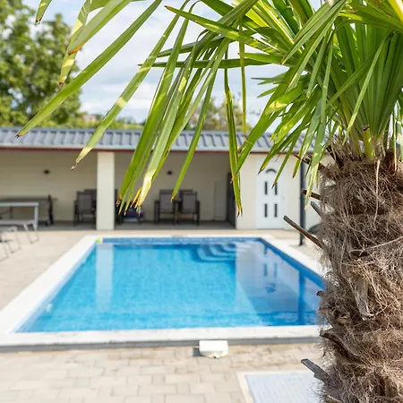 Oda ve Kahvaltı Ludvig Panzio